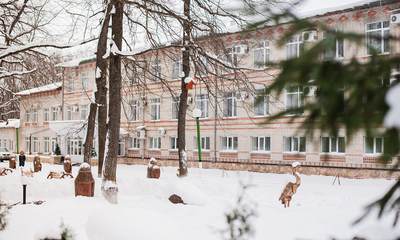 Санаторий Хопровские зори