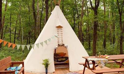 Глэмпинг Forest camping