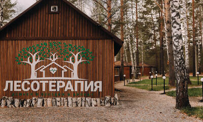Глэмпинг Лесотерапия