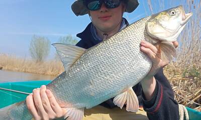 Рыболовно-охотничья база Клевое место