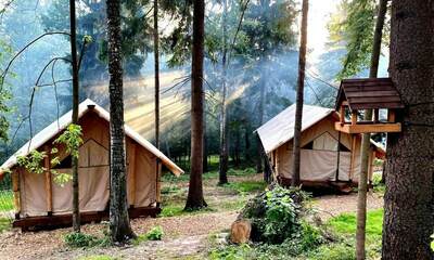 Глэмпинг Лес рядом