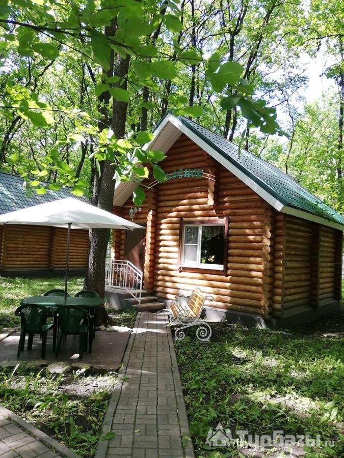 Коттедж «Львенок»