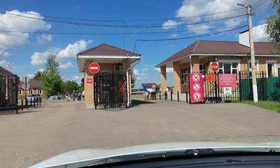 Турбаза Сосновый бор