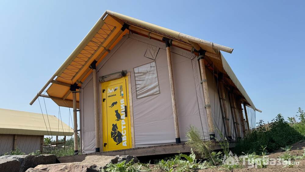 Сафари-Кукку (1-16)