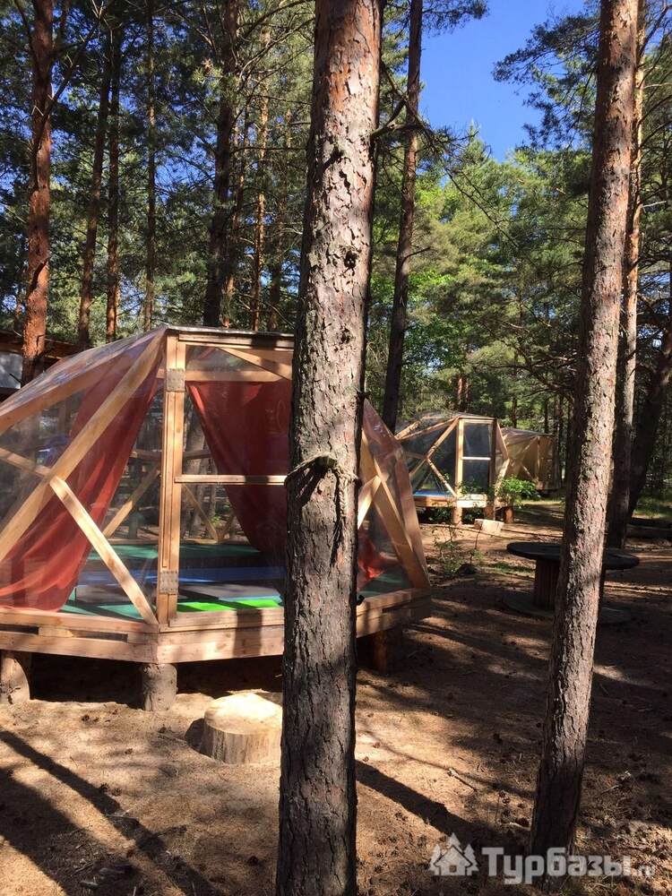 Купол №8