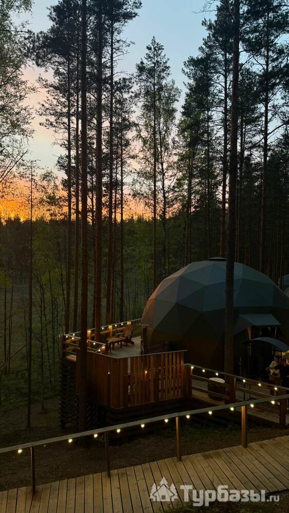 Сфера "Дом с котом...и не только"