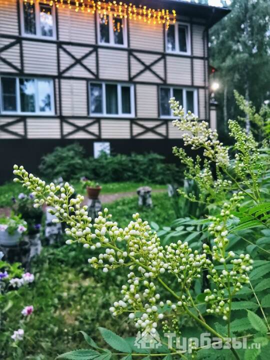 Номер стандарт